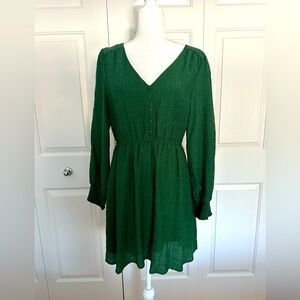 NWT BB Dakota Long Sleeve Mini Dress - Size Large